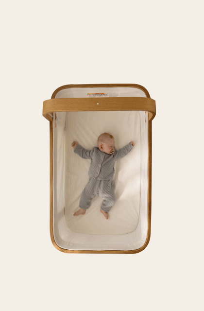 Baby resting in the Cradlewise crib