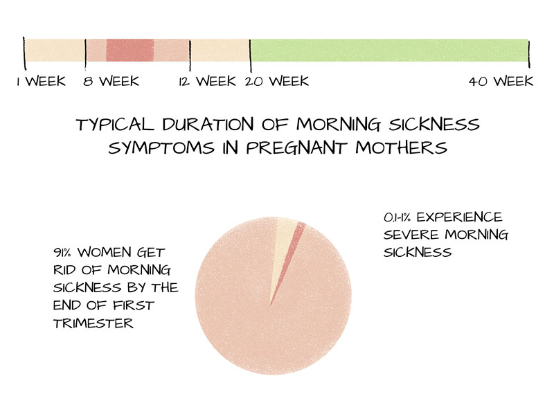 Morning sickness peaks during Weeks 8 to 12 of pregnancy. A table explaining the typical duration of morning sickness symptoms.