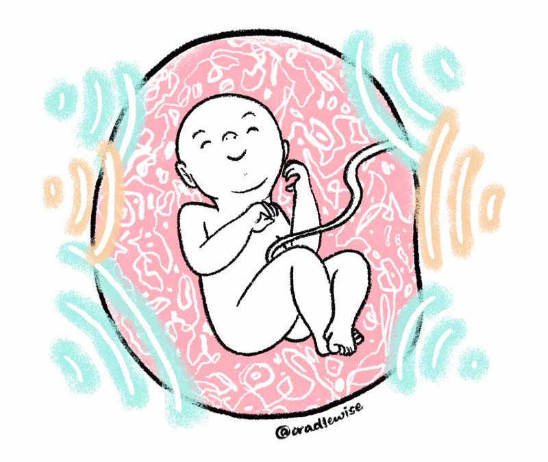 A baby listening to all the loud noises inside the mother's womb